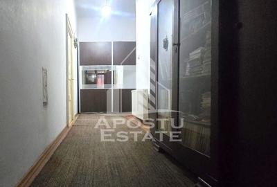 Proprietate cu potential turistic in Gurahont Proprietate cu potential turistic in Gurahont - 11