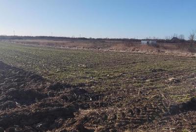 Teren de 830 mp, în Mogoșești - 3