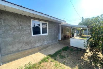 Casa 4 Camere in Paulesti - 3