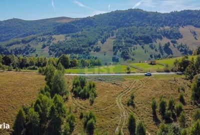 Teren de 1000 mp, în Băișoara - 2