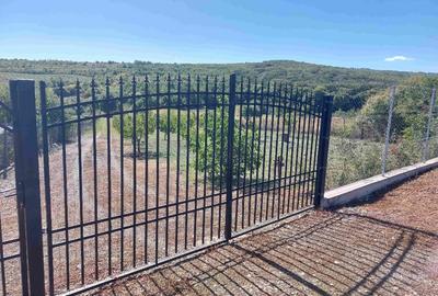 Comarna (aproape de Tomesti) - Proprietate unică la marginea pădurii - 3