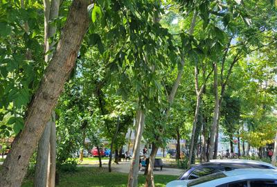 Apartament Drumul Taberei - centrala proprie-prima inchiriere - 17