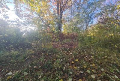 Teren de 3092 mp, în Telega - 10