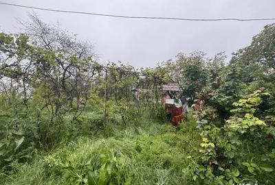 Vand casa 3 camere 100mp cu teren 2200mp, 60km de Bucuresti - 2