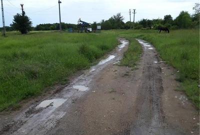 Teren de 11438 mp, în Hințești - 2