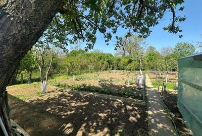 Casa -  Mogosoaia - Individuala - - 18