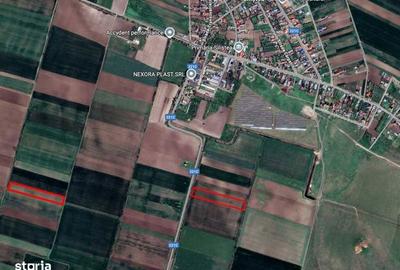 Teren de 20000 mp, în Siliștea - 1