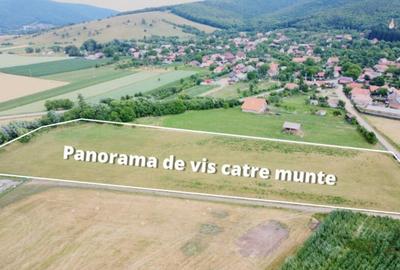 Teren de 500 mp, în Bicfalău - 6