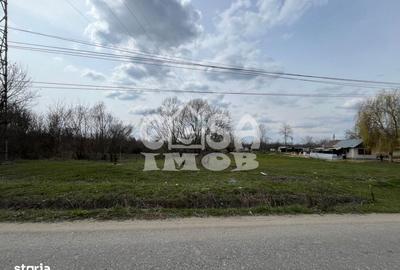 Teren de 1400 mp, în Mătăsaru - 6