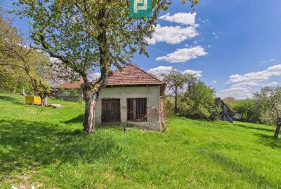 Casă cu 2 camere cu Teren 24270 Mp în Central - 18