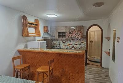 Se inchiriaza apartament cu 1 camera zona centrala - 1