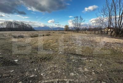 Teren 8000 mp, zona Pestisani - 2