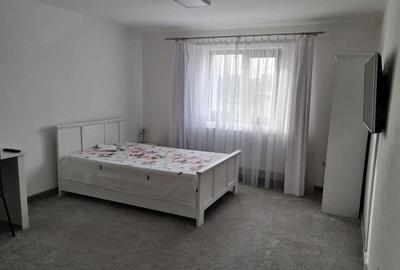 Casă cu 1 camere cu Teren 300 Mp în Prundu - 3