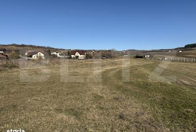 Teren de 2900 mp, în Hereclean - 3