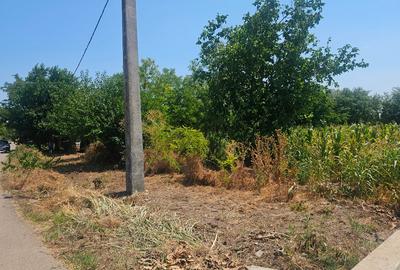 Teren Construcții intravilan de 2600 mp, în Drăgoești - 1