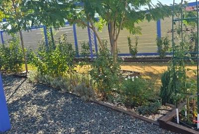 Casă modulară cu grădină superbă – teren 1000 m², 1 Decembrie, Ilfov - 15
