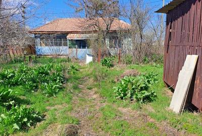 Vanzare Casa sat Valea Fetei, comuna Verguleasa, jud. Olt - 3
