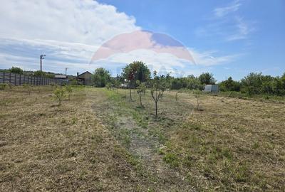 Teren 2,500mp Simnicu de Sus / Strada Craiovei - 1