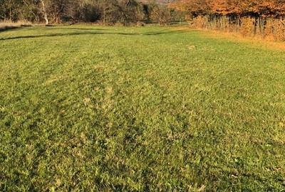 Teren Construcții intravilan de 2000 mp, în Sadu - 4