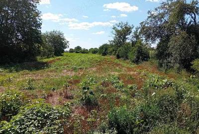 Casă cu Teren 152 Mp în Central - 8