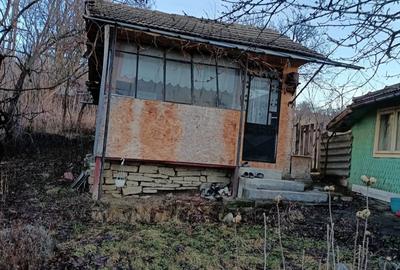 Casă cu 4 camere în Nucșoara de Jos - 3