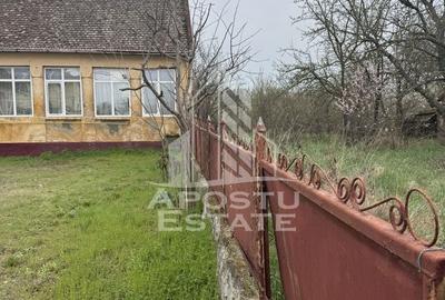 Casă individuală cu 5 camere cu Teren 3383 Mp în Remetea Mare - 10