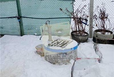 Gradina de vanzare cu apa si curent 700 mp in Sura Mare - 9