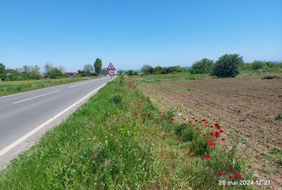Teren  intravilan  540 mp / Vama Veche - 9