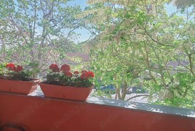 De inchiriat Apartament 49 mp. zona Mures-Miloia - 2