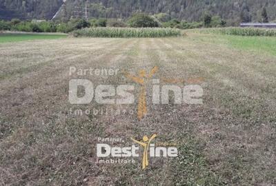 Teren Construcții intravilan de 4488 mp, în Pângărați - 3