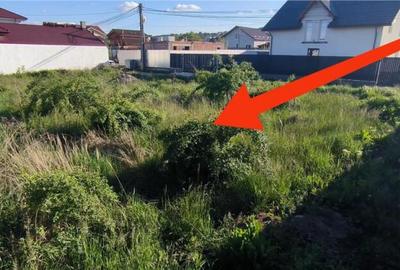 Teren intravilan de Magura Farbe - 4