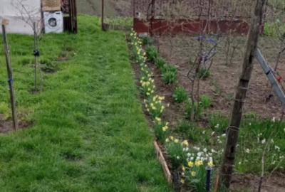 Teren în Ghercești - 1