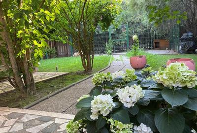 Vila 8 camere | padurea Baneasa | teren 383 mp - 21