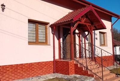 CASA DE VACANTA-2016- MOBILATA SI UTILATA - 11