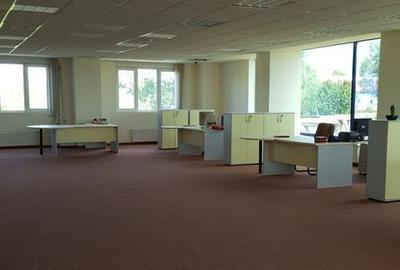 Spa?iu depozitare si productie Ciolpani - 6