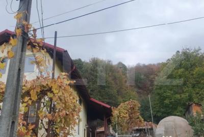 Casă cu 4 camere cu Teren 1500 Mp în Cornu - 11