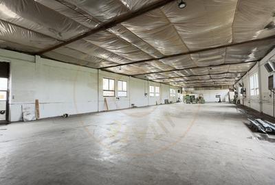 Cladire Industriala Hala Productie, Depozitare, Birouri-Teren 3140 mp - Carei - 4