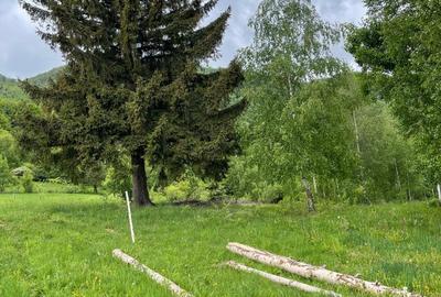 Bran - Tohanita - Predelut - Teren superb 1.6 hectare