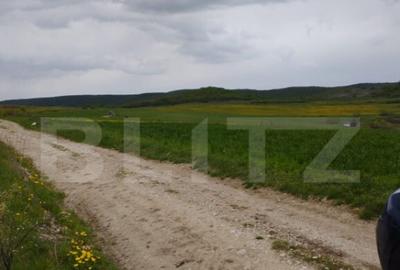 Teren de 3621 mp, în Petrești