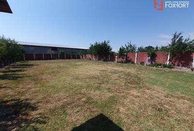 COMISION 0% Casa individuala cu 5 camere si teren de 1439 mp, Denta - 25