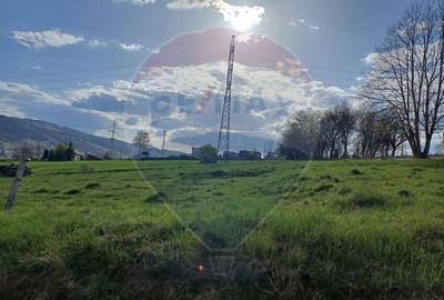 Teren Construcții intravilan de 2421 mp, în Periferie