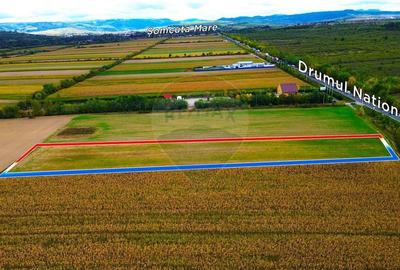 DE VANZARE - Teren intravilan la Drum European, Somcuta Mare DE VANZARE - Teren intravilan la Drum European, Somcuta Mare - 1