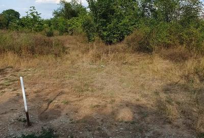 Teren pentru casa de 1021 mp in Scrovistea - 1