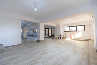 Spațiu comercial, de 130 mp, în Banat - 1