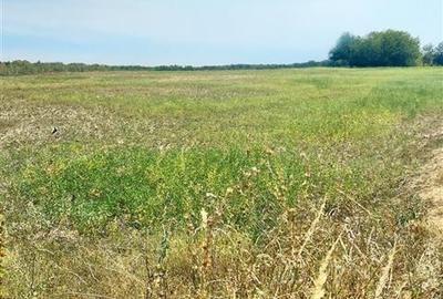 Teren intravilan de vanzare Lipanesti, parcelabil in loturi de 1000 mp - 4