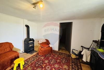 Teren Construcții intravilan de 6210 mp, în Apateu - 13