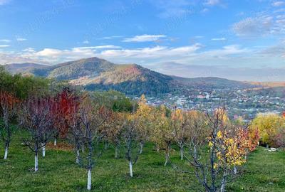 Casă cu 4 camere cu Teren 8140 Mp în Gârcina - 5