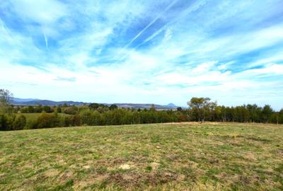 5800 mp fineata, pretabil camping, constructii A-frame, Sohodol, Bran - 5