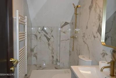 Calinesti - Gorganu, casa cu 2 intrari, teren 2496 mp - 17