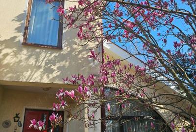 Vila 4 camere, 220 mp utili, cu teren de 400 mp in Pipera - 7